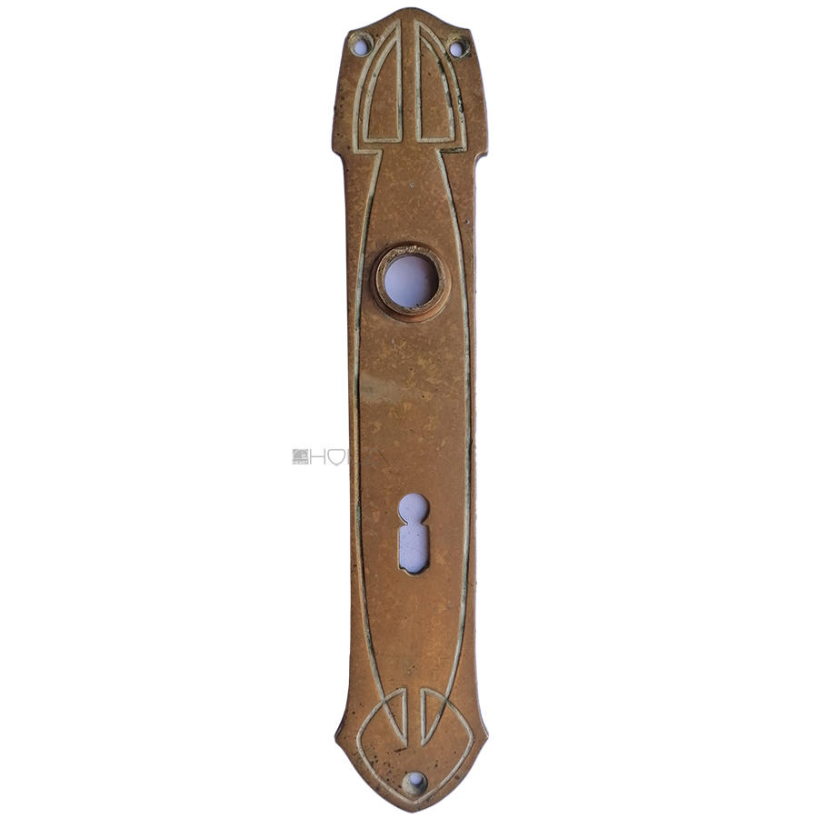 Langschild Jugendstil Avantgarde alt Türdrücker 49x255-16.7x72