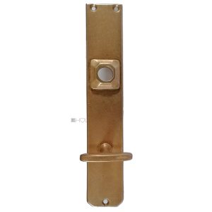 Langschild Jugendstil Avantgarde alt Sperrriegel Nachtriegel 17.4mm 83