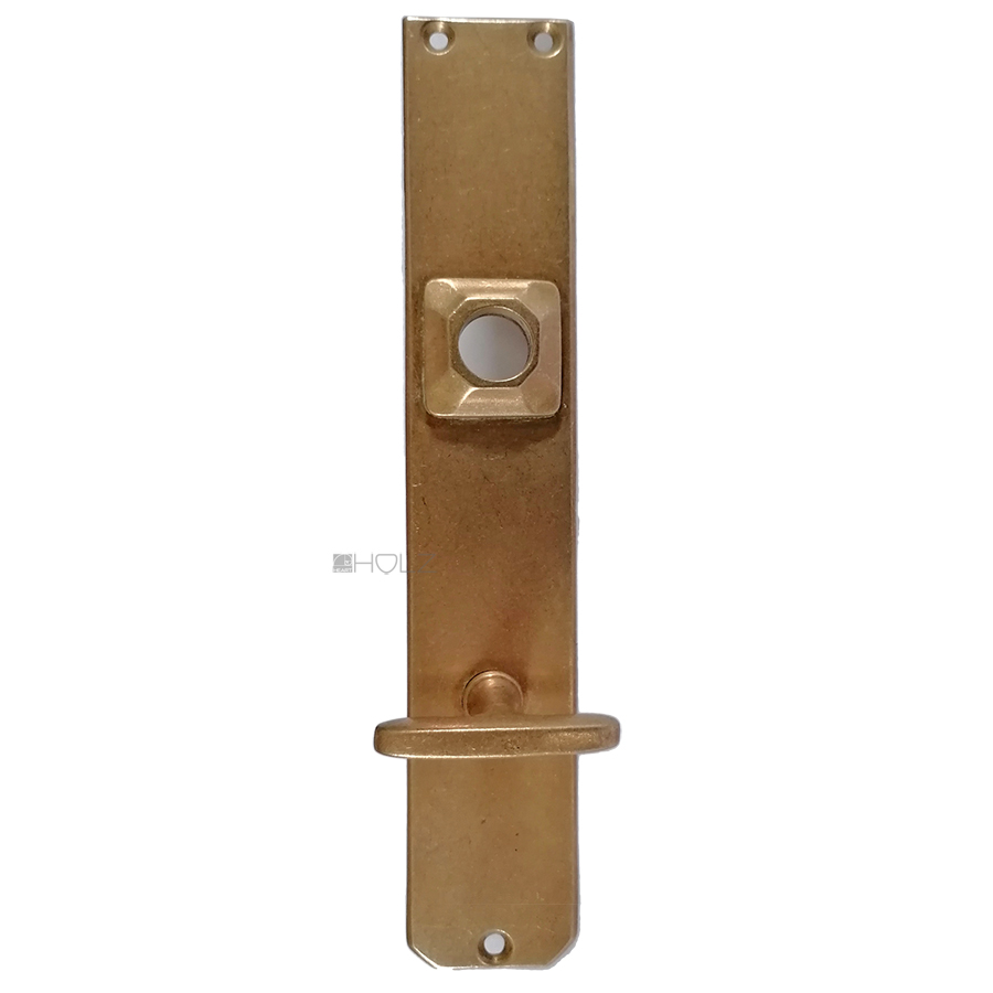 Langschild Jugendstil Avantgarde alt Sperrriegel Nachtriegel 17.4mm 83