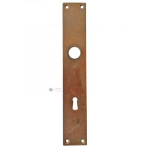 Langschild Bauhaus Tür Türklinke Türdrücker alt Messing 41x245-80